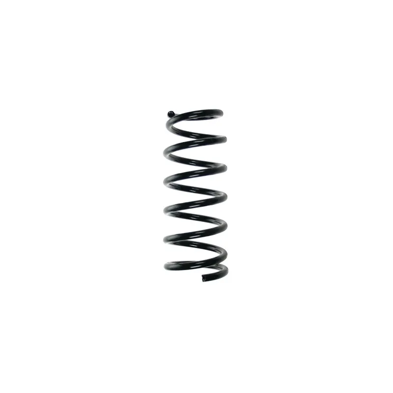 Ressort de suspension SPIDAN 55462