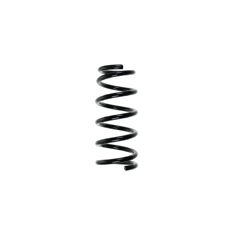 Ressort de suspension SPIDAN 55478