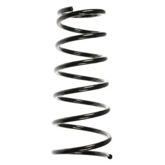 Ressort de suspension SPIDAN 55490