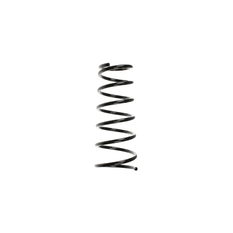 Ressort de suspension SPIDAN 55490