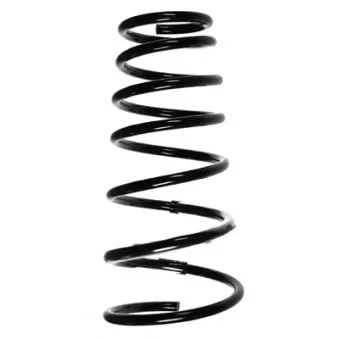 Ressort de suspension SPIDAN 55495