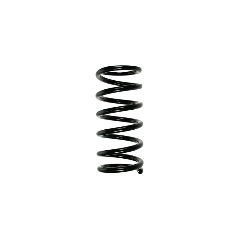 Ressort de suspension SPIDAN 55500