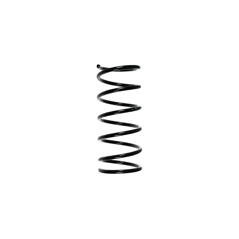 Ressort de suspension SPIDAN 55505