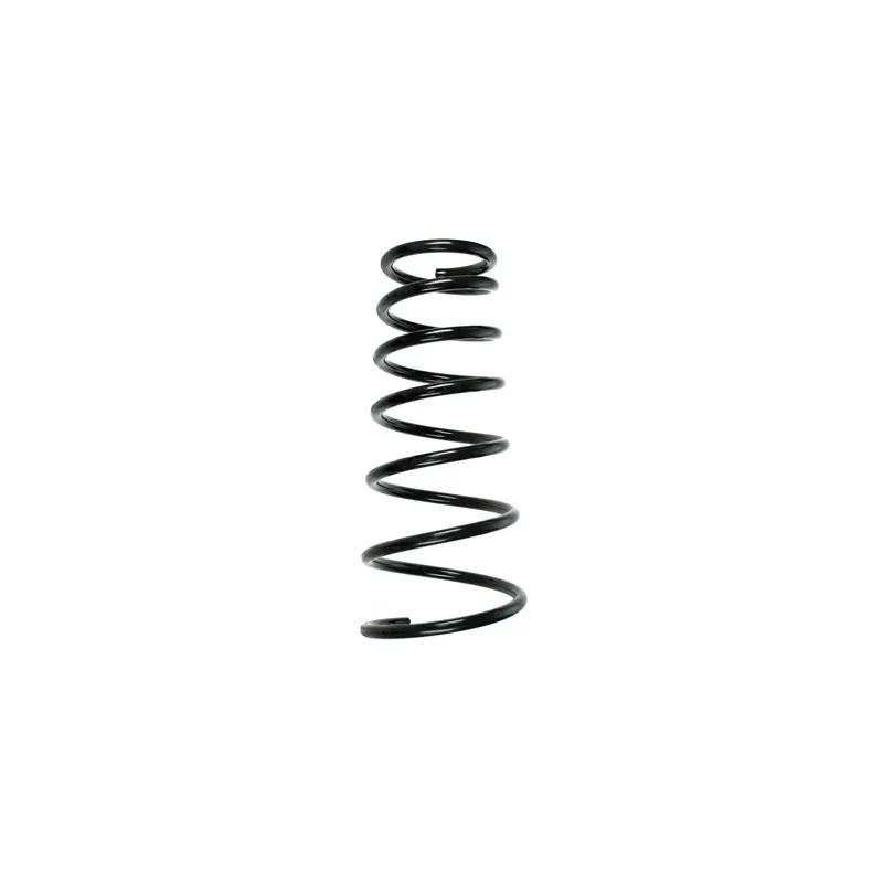 Ressort de suspension SPIDAN 55506