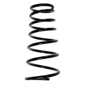 Ressort de suspension SPIDAN 55507