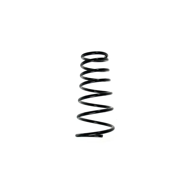 Ressort de suspension SPIDAN 55507
