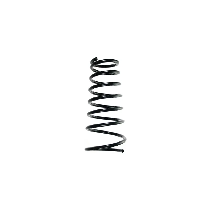 Ressort de suspension SPIDAN 55510
