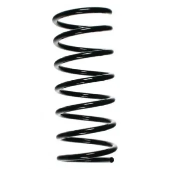 Ressort de suspension SPIDAN 55518
