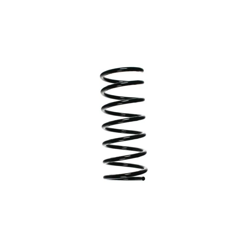 Ressort de suspension SPIDAN 55518