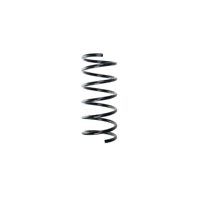 Ressort de suspension SPIDAN 55519