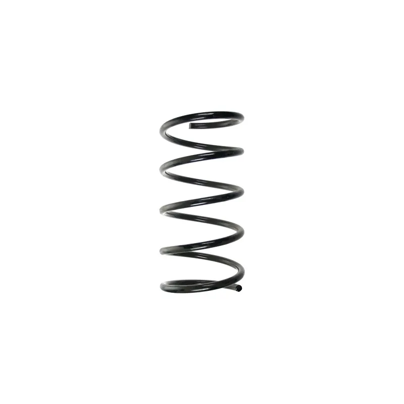 Ressort de suspension SPIDAN 55533