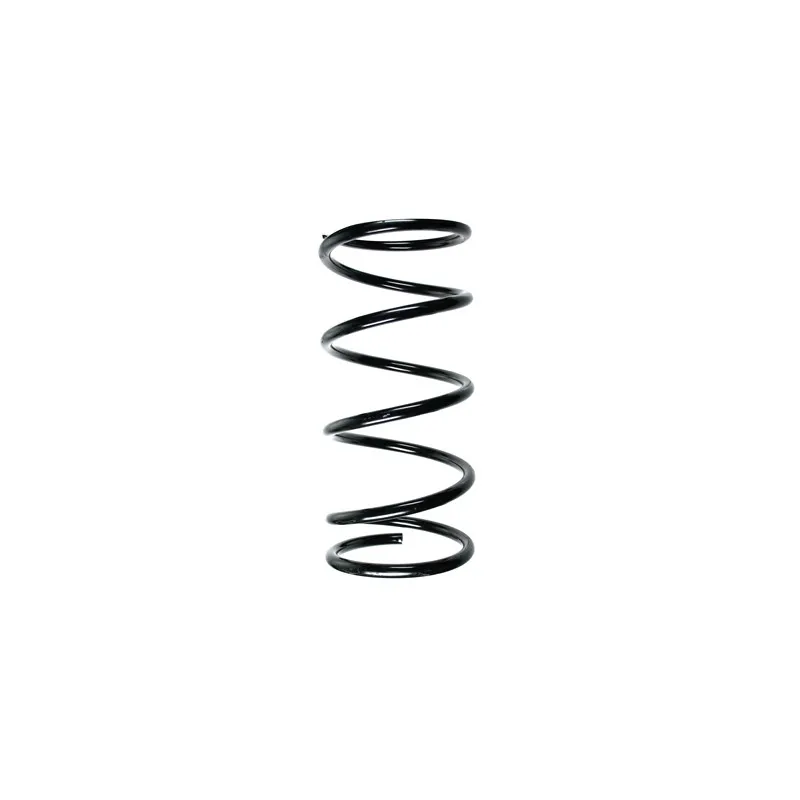 Ressort de suspension SPIDAN 55535