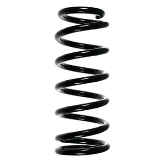 Ressort de suspension SPIDAN 55568