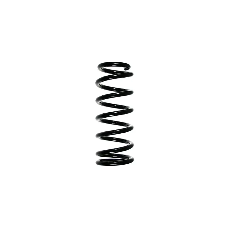 Ressort de suspension SPIDAN 55568