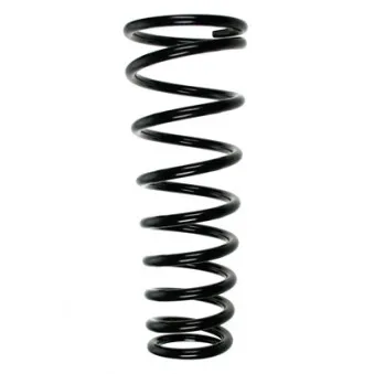 Ressort de suspension SPIDAN 55576