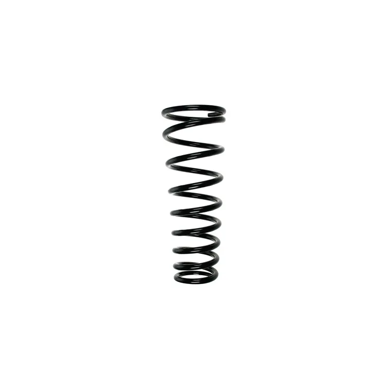 Ressort de suspension SPIDAN 55576