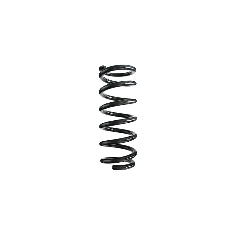 Ressort de suspension SPIDAN 55578