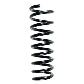 Ressort de suspension SPIDAN 55579