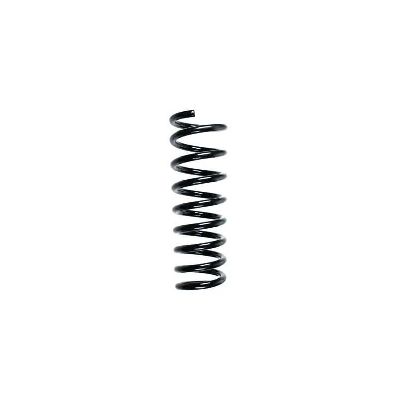 Ressort de suspension SPIDAN 55579