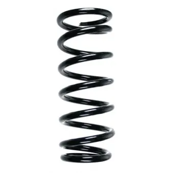 Ressort de suspension SPIDAN 55599
