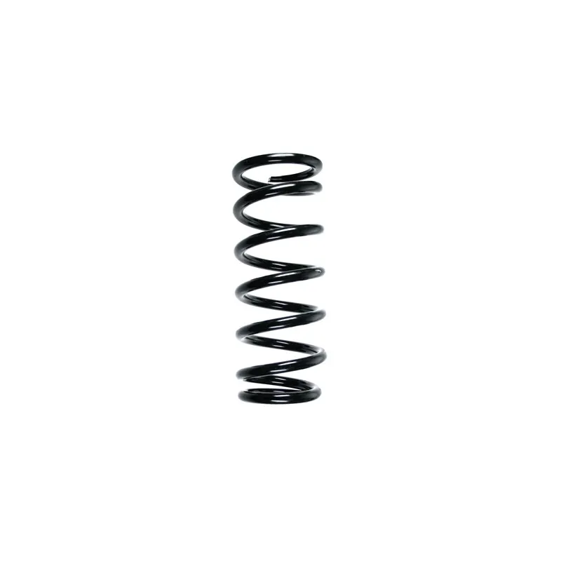 Ressort de suspension SPIDAN 55599