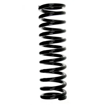 Ressort de suspension SPIDAN 55602