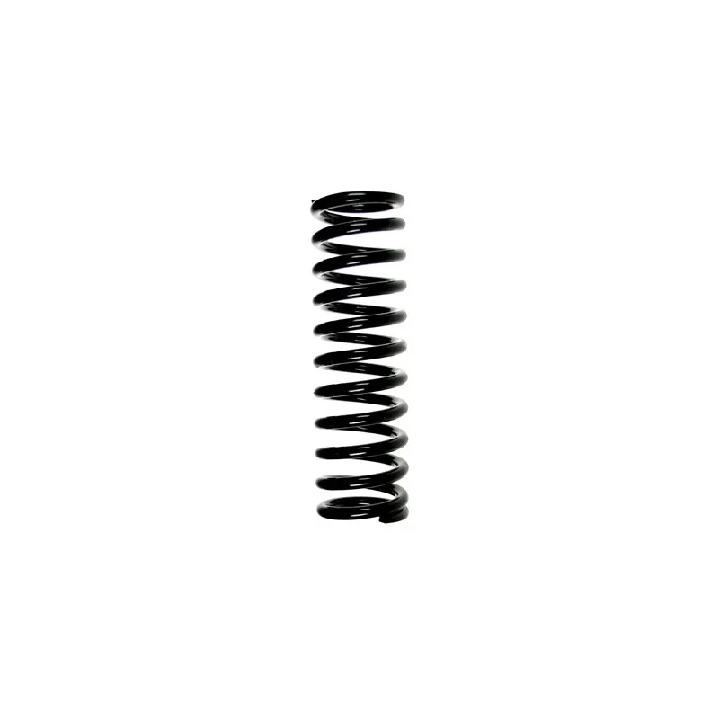 Ressort de suspension SPIDAN 55602