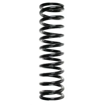 Ressort de suspension SPIDAN 55603