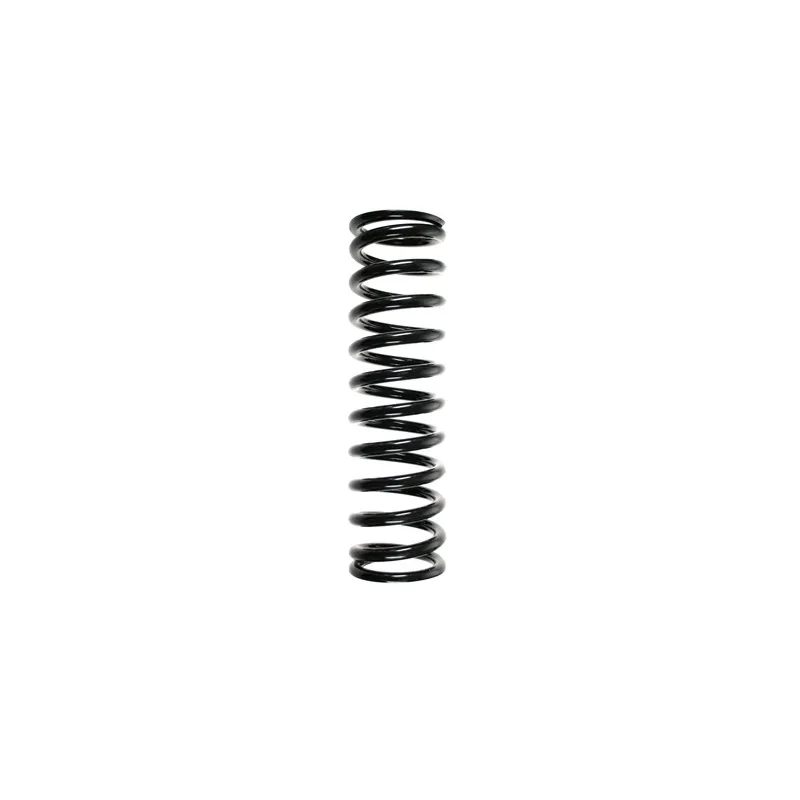 Ressort de suspension SPIDAN 55603