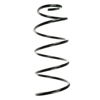 Ressort de suspension SPIDAN 55612