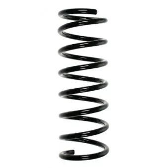 Ressort de suspension SPIDAN 55675