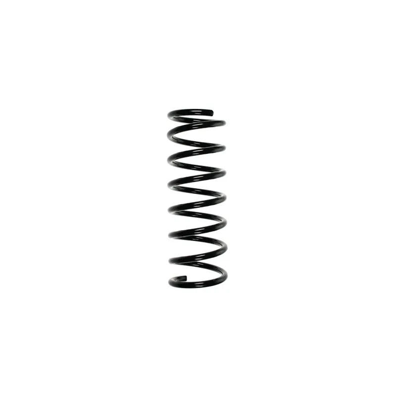 Ressort de suspension SPIDAN 55675