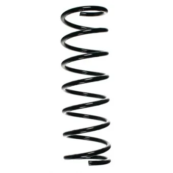 Ressort de suspension SPIDAN 55676