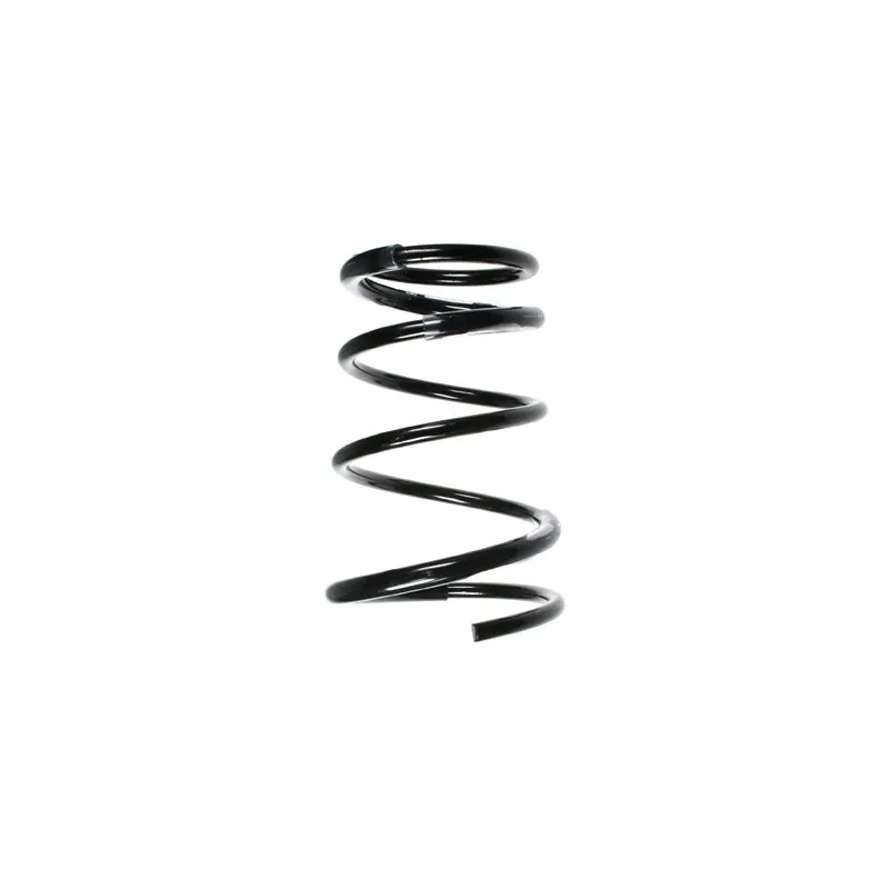 Ressort de suspension SPIDAN 55677