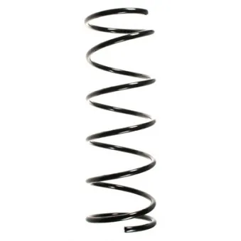 Ressort de suspension SPIDAN 55685