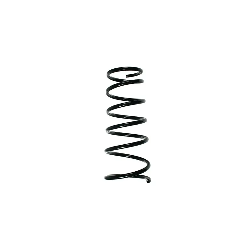 Ressort de suspension SPIDAN 55687