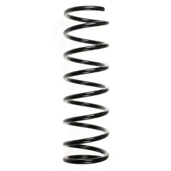Ressort de suspension SPIDAN 55690