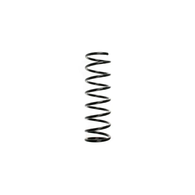 Ressort de suspension SPIDAN 55690