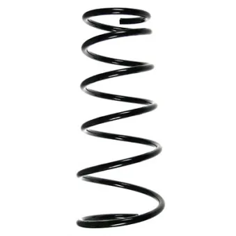 Ressort de suspension SPIDAN 55697