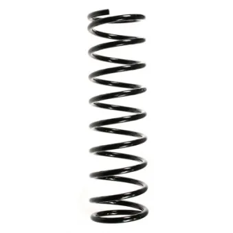 Ressort de suspension SPIDAN 55699