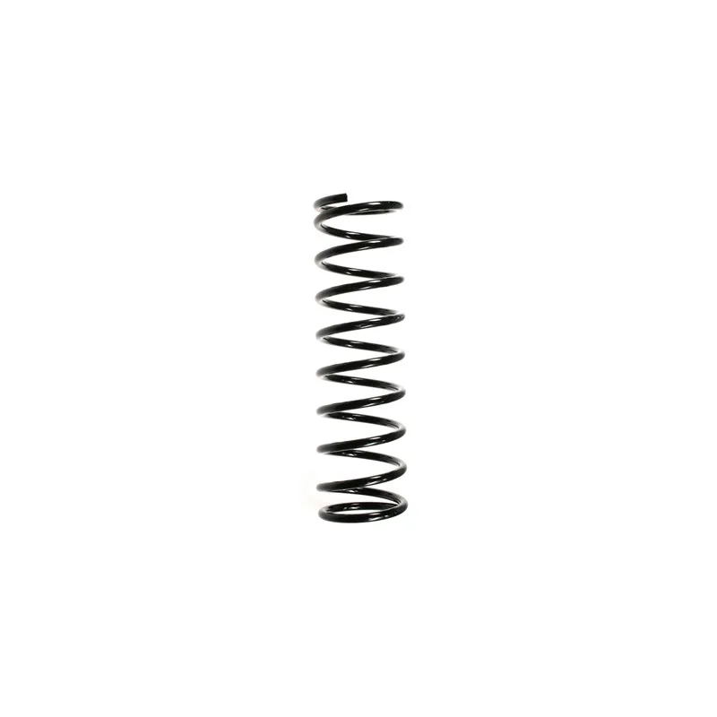 Ressort de suspension SPIDAN 55699