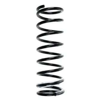 Ressort de suspension SPIDAN 55700