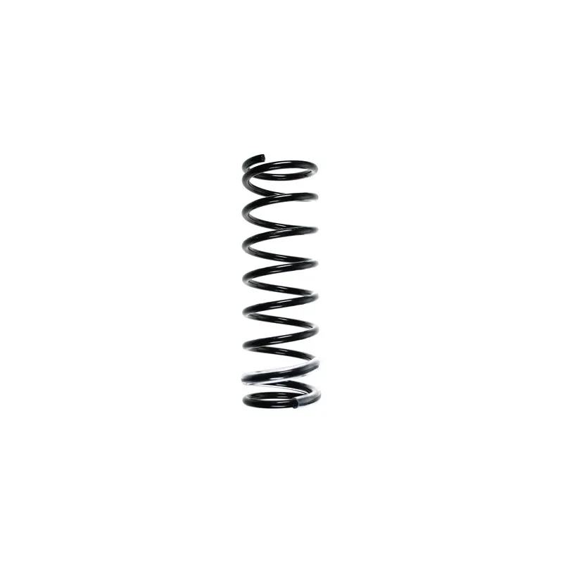 Ressort de suspension SPIDAN 55700