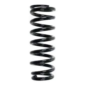 Ressort de suspension SPIDAN 55709