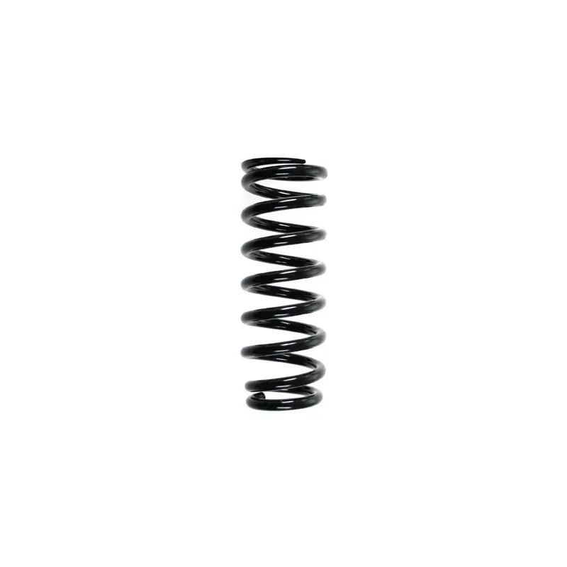 Ressort de suspension SPIDAN 55709