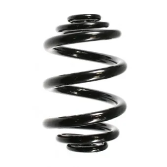Ressort de suspension SPIDAN 55711