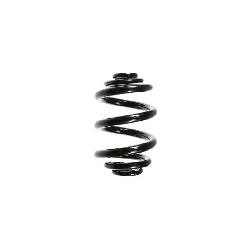 Ressort de suspension SPIDAN 55711