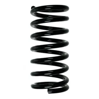 Ressort de suspension SPIDAN 55716