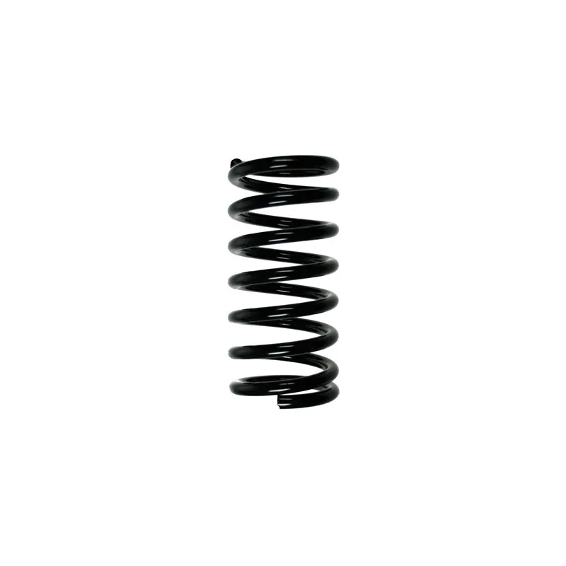 Ressort de suspension SPIDAN 55716