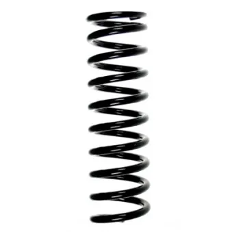 Ressort de suspension SPIDAN 55721